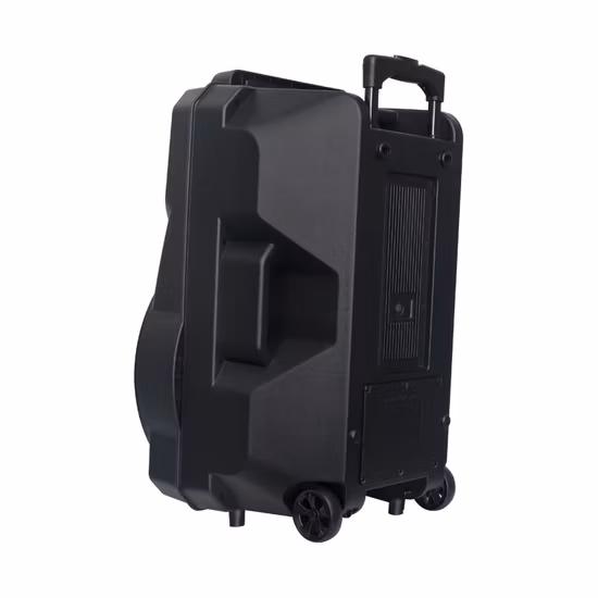 Temeisheng Wholesale Amazon Big Battery Bt Party Customize Fire Light Handle Active Loud Speaker Xs2-15