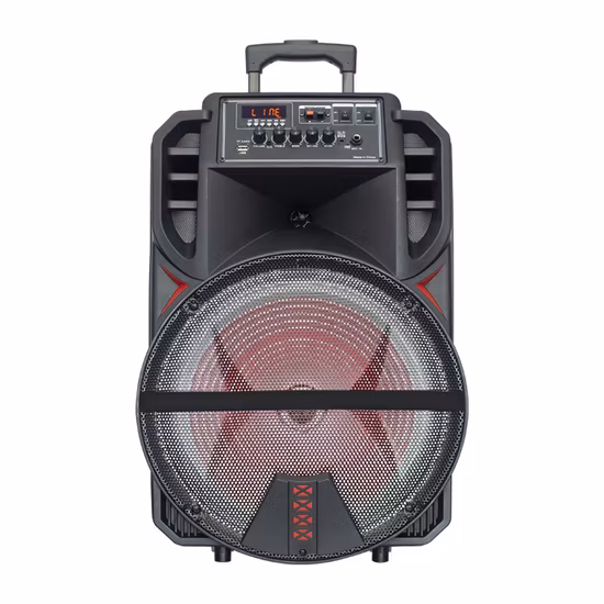 Temeisheng Wholesale Amazon Big Battery Bt Party Customize Fire Light Handle Active Loud Speaker Xs2-15