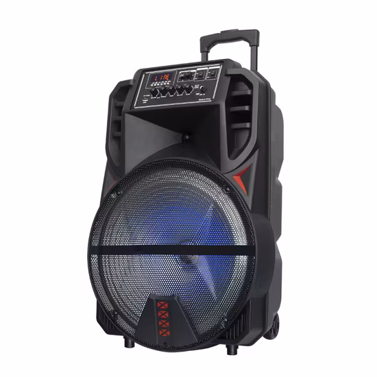 Temeisheng Wholesale Amazon Big Battery Bt Party Customize Fire Light Handle Active Loud Speaker Xs2-15